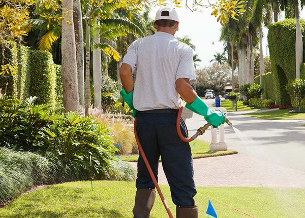 About Meeker CO Pest Control